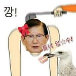 근데 요즘 왤케 톡선에