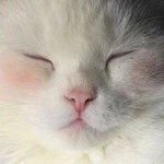 시험 <b>칠</b> 때 진짜 가슴 쫄렸던 경험 있니 난 있다...