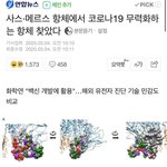 [모두드루와] 코로나19 <b>무력</b>화하는 항체 찾았다.