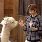 [강다니엘] [안녕다니엘] 칭구칭긔 안녕