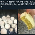 [드루와] 방금 생각난건데 <b>백종원</b>