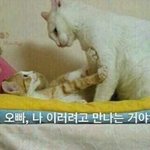 [댓글부탁해] 너네 커뮤 뭐뭐함