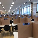 [코로나] 코로나19로 바뀐 회사<b>식당</b> 근황