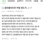 [19] <b>빛삭</b>올리는애들 미래