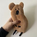 [ㅈㄱㄴ] 나 롤링페이퍼에 이쁘다는 말