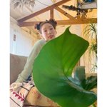 [EXO] 어리고 이쁜여자애?