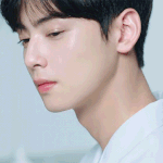 [댓글부탁해] 여자가 차은우 닮으면 예쁘다고도 말할<b>수</b>있음??