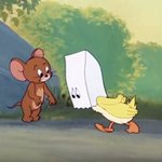 Mbti 랑 연예인 이 직업 인거랑