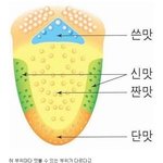 [댓글부탁해] 한국 교과서에 실려있었던 잘못된 <b>상식</b>