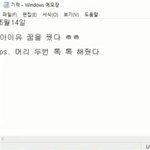 와 도대체 <b>수탉</b>은 얼마나 큰거냐