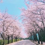 [드루와] +)코로나 때문에 못하는것들 중에서 뭐가 <b>젤</b> 아쉬워?