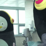 [댓글부탁해] 넓은 어깨 자랑하는 어깡 연습생