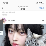 얘들아 이 렌즈 개이쁨