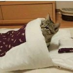 [<b>댓글</b>부탁해] 헐 카톡 이거 뭐야 무서워