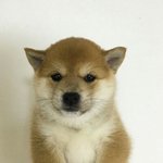 Mbti 각 유형별 부러운점