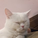[댓글부탁해] 나 요즘 잠을 잘 <b>못자</b>