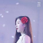 니네가 둘중 <b>한명의</b> 인생을 살수있다면