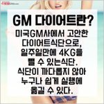 [댓글부탁해] <b>미국</b>에서 핫한 다이어트