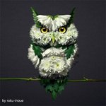 진심 꽃 같은 <b>생물</b>들