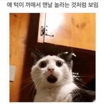 [댓글부탁해] 썬크림 추천 좀