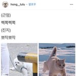 [댓글부탁해] <b>타투</b>하는 거 별로임?