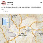 순전히 궁금해서 묻습니다. 한국 정부가 어떻게 대처했어야 하나요...