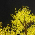 [강다니엘] [안녕다니엘] 안다인별업❤