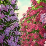 <b>폭신</b><b>폭신</b>한 슬리퍼 추천 부탁드립니닷