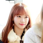 [댓글부탁해] 너네 김채원같은<b>코</b>면 <b>코수술</b> 할래?