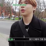 [강다니엘] [안녕다니엘] 여기 <b>다람쥐</b> 진짜 많아