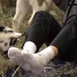 [강다니엘] [안녕다니엘] 280깅