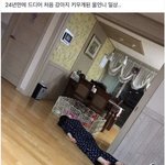 박<b>하향</b> 향수 살까