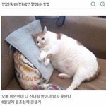 꽈뚜룹 ㅈㄴ궁금한게