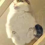<b>입학</b> 아니고 개학하는 애들아