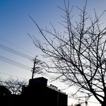 [댓글과조언] 고3 현시국에 대한 <b>독백</b>