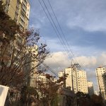 [댓글부탁해] 얘드라 나 <b>블로그</b>에 일기쓰는데!!