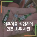 처음X럼 소주병 쥐똥만하게 만드는 사람