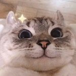 [댓글부탁해] 얘들아 빠<b>릴</b>ㄹ빨리<b>발</b>ㄹ리빨릭ㄲㄱㄱ