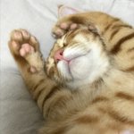 [드루와] 아이폰 <b>배터리</b> 갈아본사람