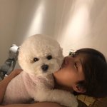 폰케이스 어디서 사?
