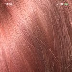 뭐지 나 본진이랑 머리<b>색</b> 비슷해서 뭔가 째짐