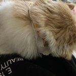 인스타 아이디 지어줄 따람