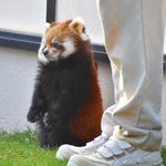얘들아 컨버스화ㅠㅠ