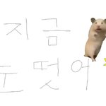 [드루와] 신발끈 못 묶는 애들 있음?