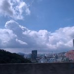 드라이브 좋아하는 애들 있어?