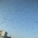 와 <b>날씨</b> <b>개</b>좋아