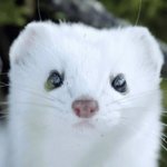 니네 인스타 <b>필터</b> 어케씀..?