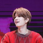 [SKZ] 승<b>댕이</b> 진짜 커엽다