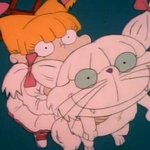 [19] <b>모동숲</b>