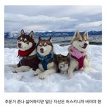 김치냉장고에 <b>식혜</b>가 잇셧내